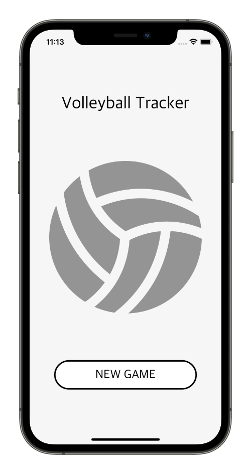 Volleyball Image